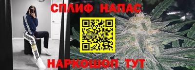 прущие грибы Севастополь