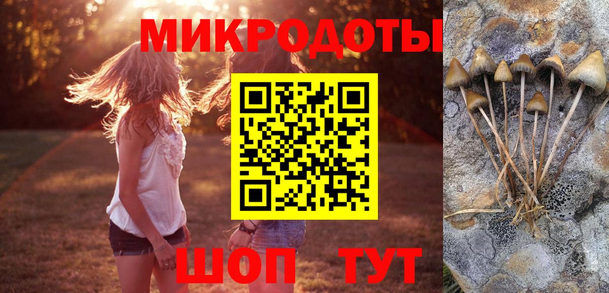 Галлюциногенные грибы ЛСД  Галлюциногенные грибы Magic Shrooms  Октябрьский  Вход с VPN 